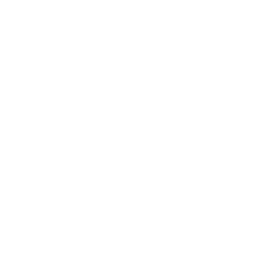 Solvetis